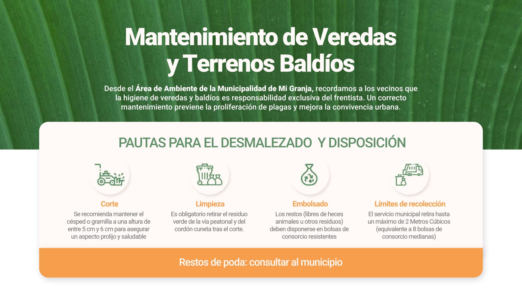 Presentación-MiGranja-Rodri_page-0003